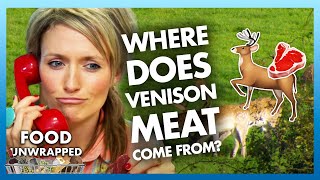 Where does Venison meat come from? 🦌