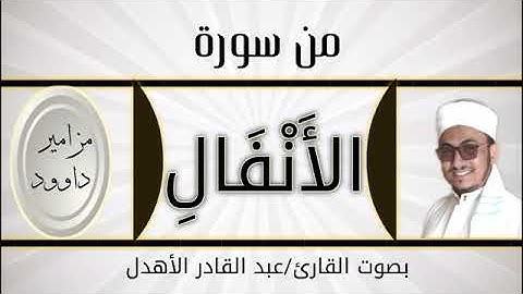 مقطع ###مزامير_داوود من( سورة الانفال) بصوت القارئ/ عبد القادر الاهدل @@@@