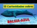 A GIGANTE BALEIA-AZUL! MUITOS SEGREDOS REVELADOS SOBRE ESSE FANTÁSTICO ANIMAL DOS OCEANOS!