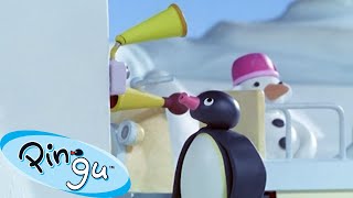 Pingu And The Doorbell 🐧 | Pingu - Official Channel | Cartoons For Kids