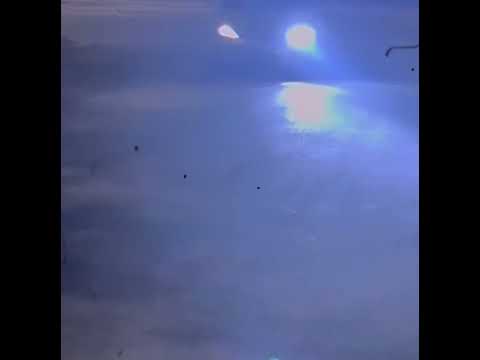 غيرك ولا حبيت