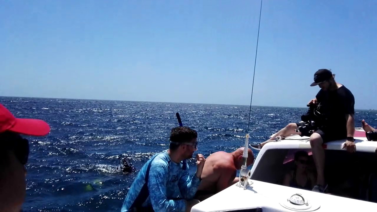 Long Caye near Great Blue Hole