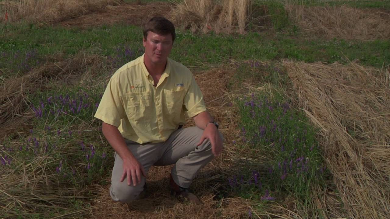 Is a Roller Crimper the Right Choice?