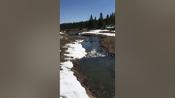 Field Note: Beaver dam analogues to restore degraded public land near Anaconda, Montana