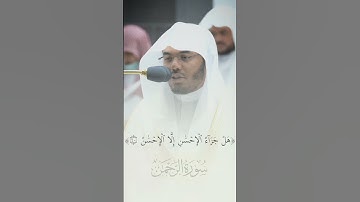 #ياسر_الدوسري  تلاوة من سورة الرحمن