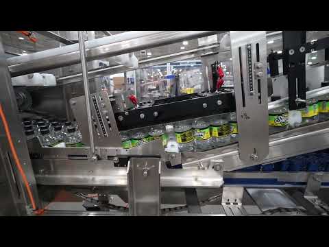 Model 2650 Continuous-Motion Case Packer