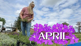 The April Blooming Garden Is In!