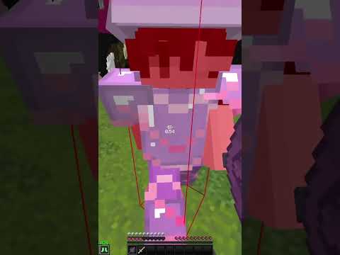 #minecraftpvp #minecraft #swordpvp #stray