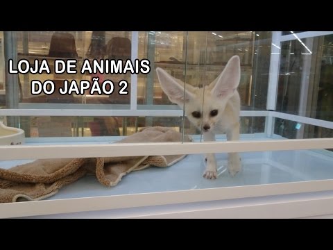 Loja De Animais Do Japão 2