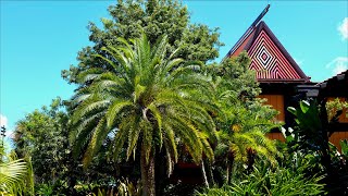 Relaxing Walk Around Disney's Polynesian Resort in 5K! Walt Disney World Orlando Florida 2020