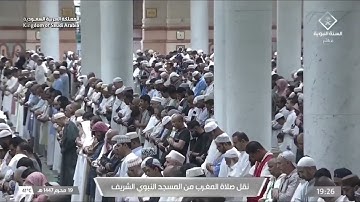 صلاة المغرب المسجد النبوي الشيخ عبدالله القرافي الأثنين 19 محرم 1447هـ من سورة النساء.