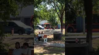 ✨ Аллеи и скверы разобьют за счёт спонсоров