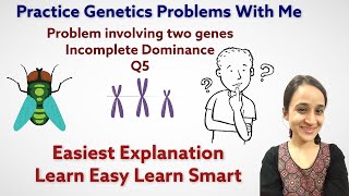 Famous Genetics problems involving two genes | Q.5 | Learn how to solve Genetics problems easily Net Worth