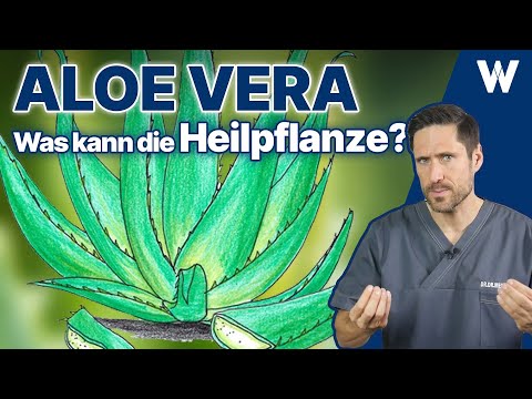 Video: Ist Aloe Vera essbar?