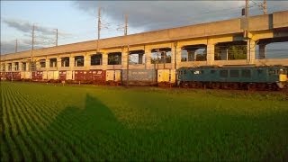EF64 1014 貨物列車 4081レ