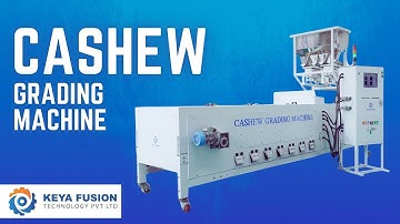 Cashew Grading Machine
