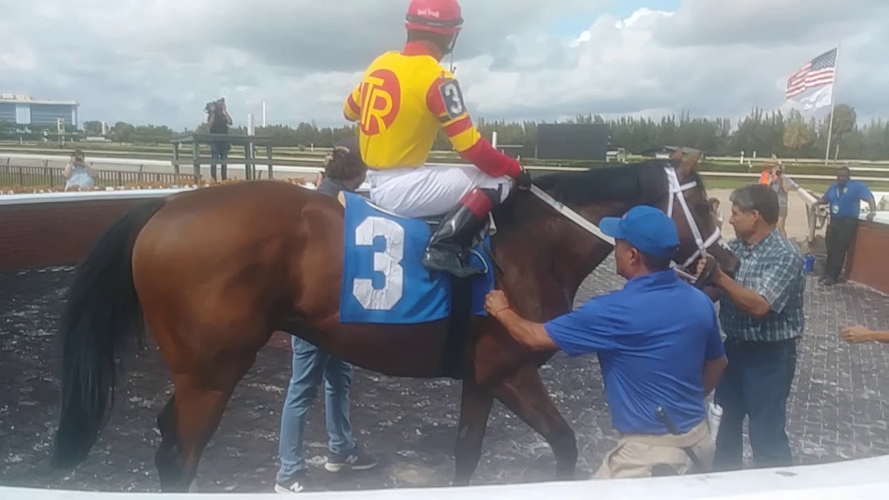 Bodexpress race horse in the winners circle Gulfstream Park West
