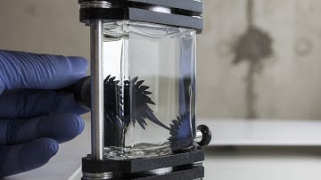 Concept Zero Ferrofluid Display Bottle - Quantum 60ml