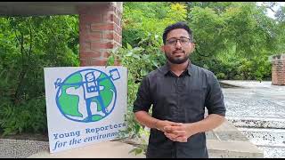 Young Reporters for the Environment