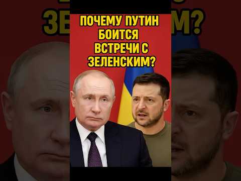 Почему Путин боится встречи с Зеленским?