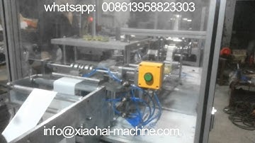 Automatic round Soap Pleat Wrapping Machine With Labelling