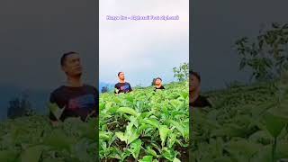 Download Lagu Hanya Ibu - Alghozali #alghozali #ibucover #music #covermusiktop #kabursajadulu MP3