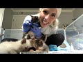 Beginning of video