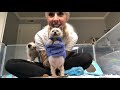 Middle of video