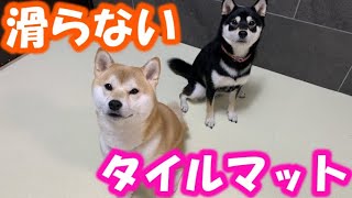 【柴犬姉妹】【おくだけ吸着】のタイルマットで愛犬の滑り防止！【Shibainu】【サンコー】