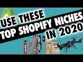 Which Dropshipping NICHES Will PROFIT in 2019?!