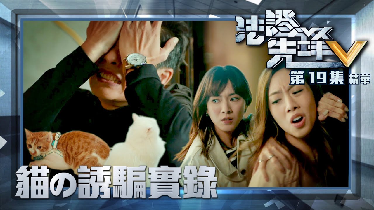 法證先鋒V ｜第19集加長版劇集精華｜貓の誘騙實錄｜黃宗澤｜王敏奕｜糖妹｜TVB港劇精華