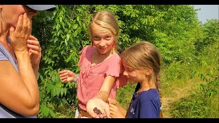 Family Vlog Ep. 1   Settling Into Goldenwood And Some Interesting Stories
