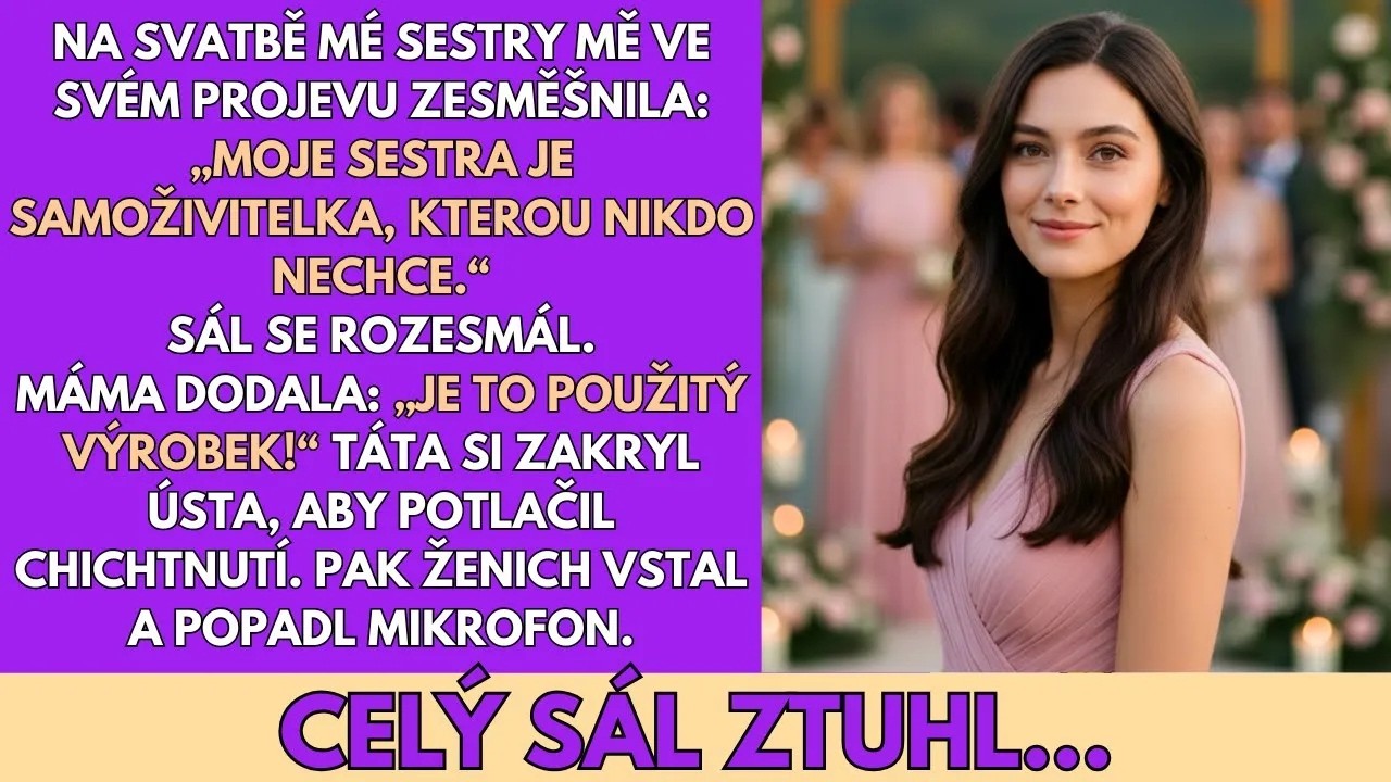 Na svatbě mé sestry mě před dvěma sty hosty označila za nechtěnou a moje vlastní matka se přidala se slovy, že jsem „použitý výrobek". Můj pětiletý syn seděl vedle mě a ptal se, proč se všichni...