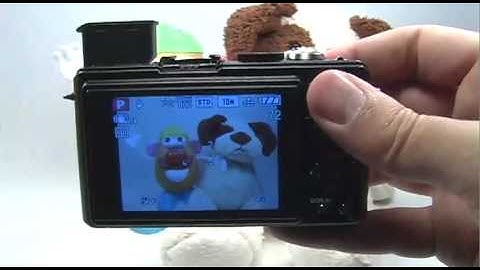 Panasonic DMC-LX3: Flash