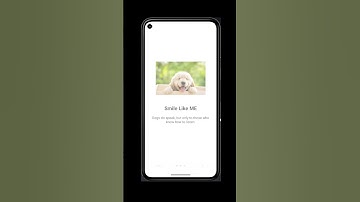 Flutter Introduction Screen #shorts #flutter