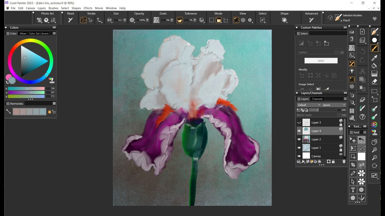 003 002 Color Selection with a brush