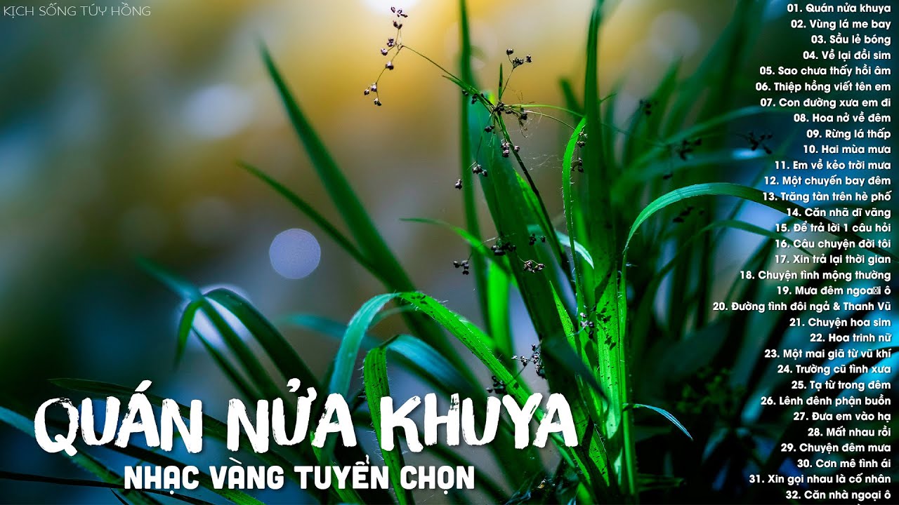 quan an khuya New Update Quán Nửa Khuya, Vùng Lá Me Bay - 36 Bài Nhạc Vàng Càng Nghe Càng Mê Say