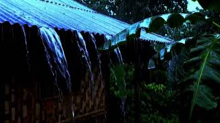 🌧️ What Happens When Tropical Rain Falls All Night? Listen & Relax