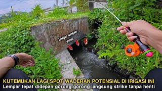 🍃 I FOUND ANOTHER POTENTIAL WADERAN SPOT IN THIS IRRIGATION 💥 Throw at this point and get a strik...