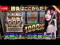 [オンカジ] LIVE シャシャ、ついにオンカジにリベンジ成功っ MAX !!!! #スロット