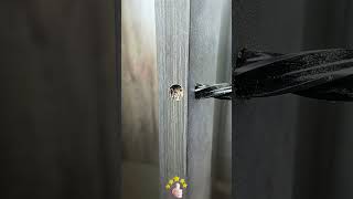 Woodworking Installation Technology for Cabinet Sensor Lighting 🪑⚙️💡
