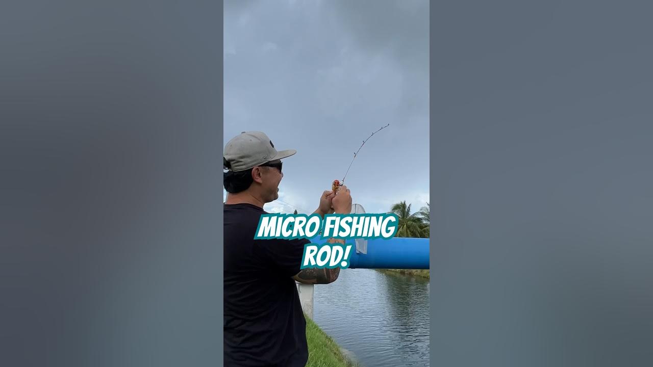 Fishing with a Micro Fishing Rod #fishing 