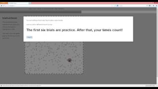 RS1 Bubble Cursor by Curtis Northcutt