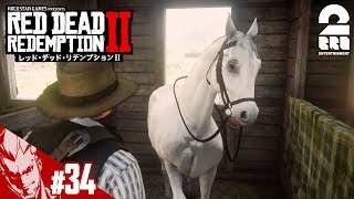 #34【TPS】弟者の「レッド・デッド・リデンプション2」【2BRO.】