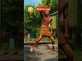 tung tung# aour bhaloo ka# funny dance # music# of doom🤣😅😂😂😂😆😄😄😀