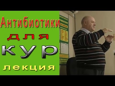 Куры и антибиотики - YouTube