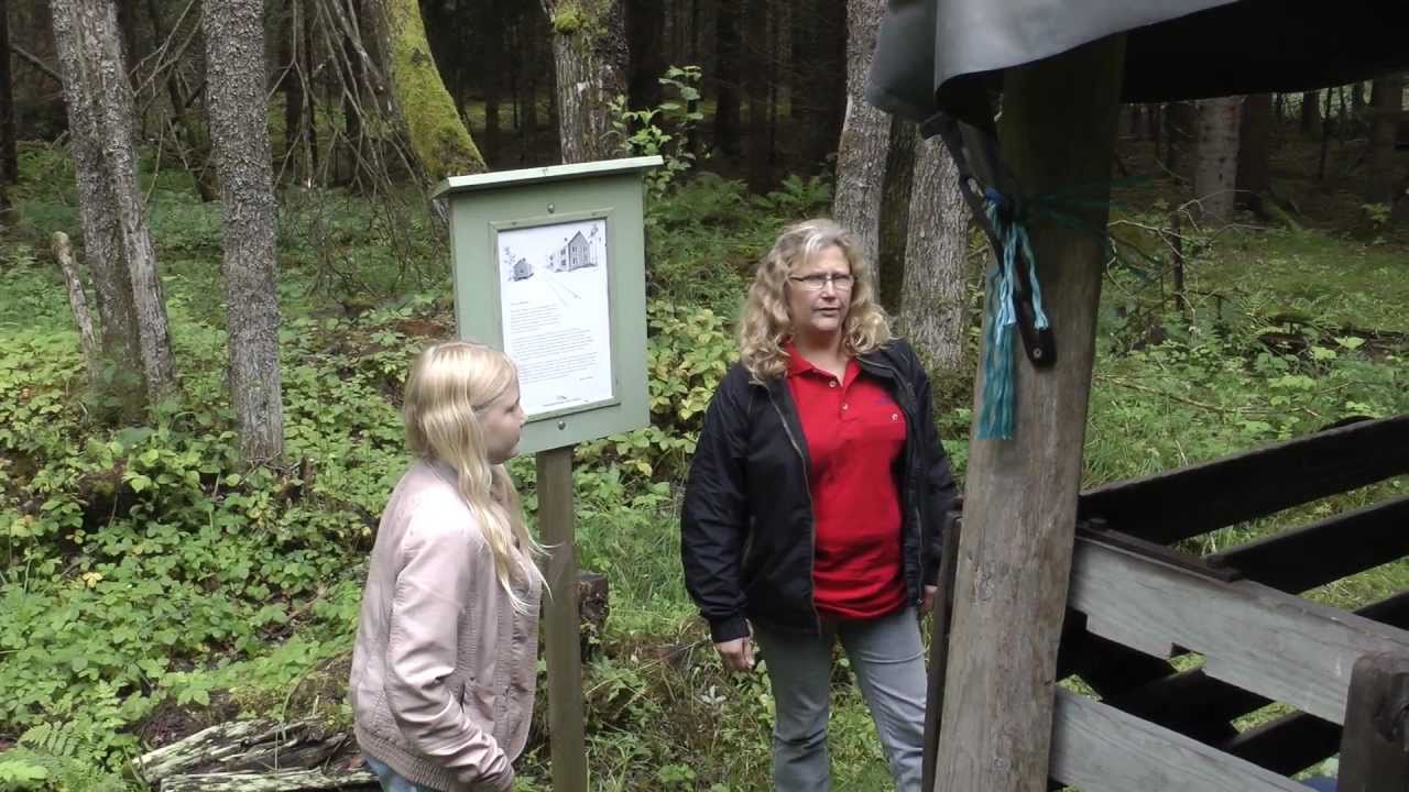 Ryttarens torvströfabrik - Peat factory with railway