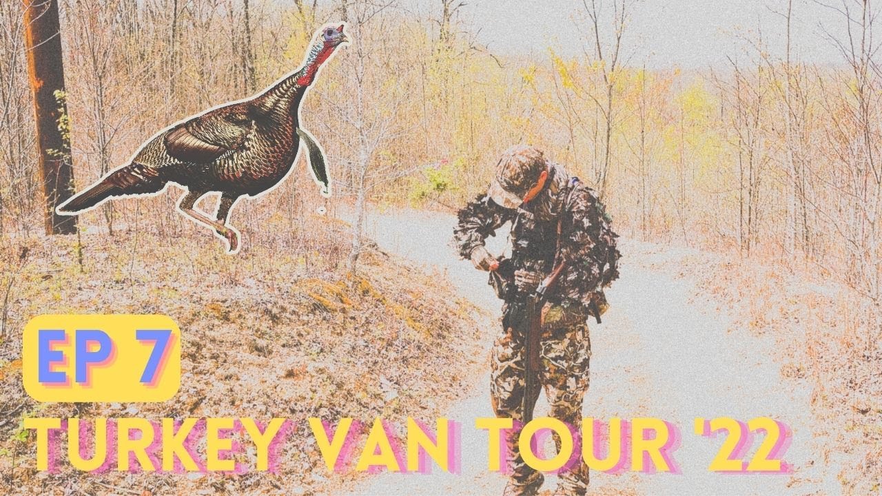 MOUNTAIN TURKEYS in WEST VIRGINIA Public Land Turkey Hunting YouTube