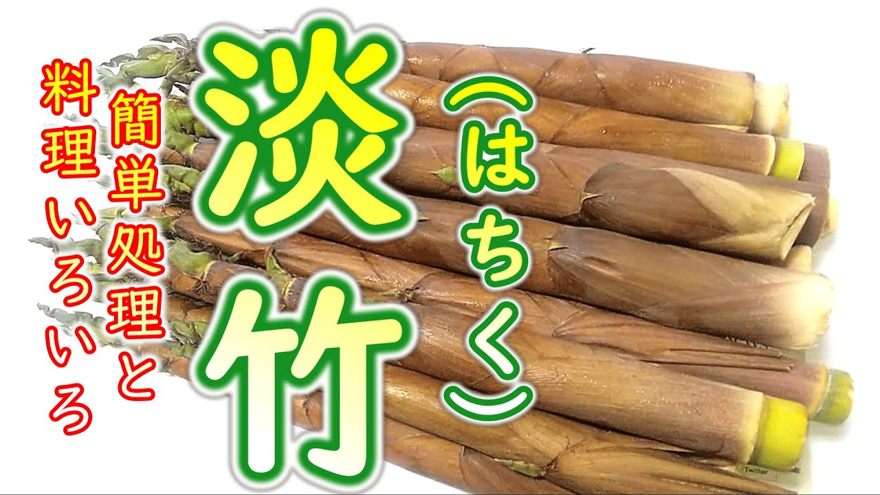 下処理が簡単なレアたけのこ『淡竹(はちく)』の処理といろいろ筍料理の作り方(前編) # 450 - YouTube