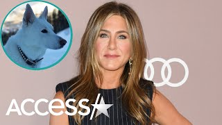 Famous Jennifer Aniston Honors Late Dog Dolly With Photo Necklace Of Her Beloved Pet Net Worth
